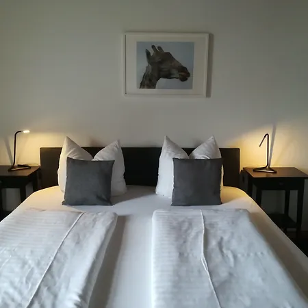 Hotel Rutherbach