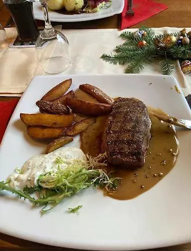 酒店 卢哲巴赫酒店 3*