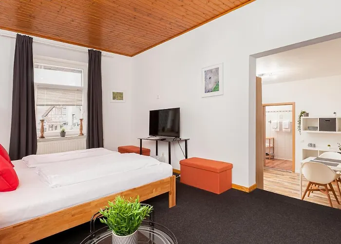 酒店 卢哲巴赫酒店 3*